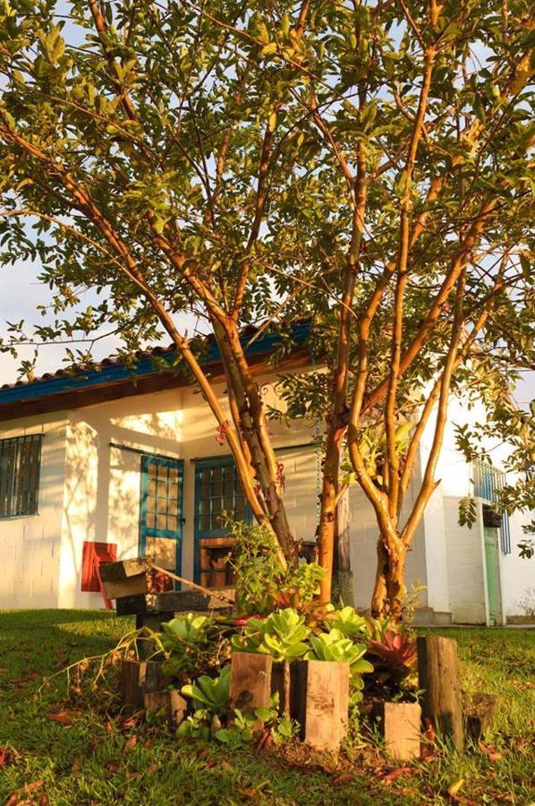 Finca La Colina De Los Azulejos Guadalupe Exterior foto